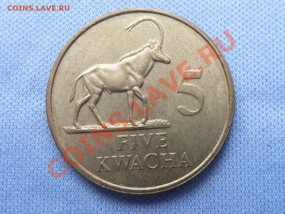 Замбия 5 kwacha 1992г.АНТИЛОПА до 22.03.11 в 22-00 - MEMO0021.JPG