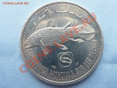 КОМОРЫ 5франков 1984г. РЕЛИКТОВАЯ РЫБА до22.03.11 в 22-00 - MEMO0033.JPG
