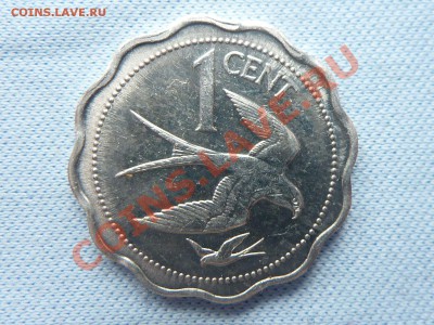 БЕЛИЗ 1цент 1978г. до 22.03.11 в 22-00 - MEMO0039.JPG
