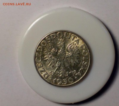 Польша 2 злотых 1936 корабль штемп. блеск  до 19.11.17 22:10 - злот (1)