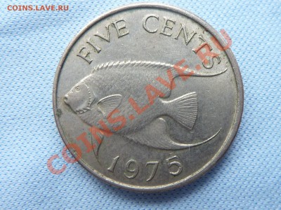 Бермуды 5с 1975г.  РЫБКА до 22.03.11 в 22-00 - MEMO0052.JPG