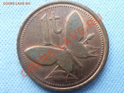 ЭКЗОТИКА Папуа Новая Гвинея 1тойя 1987г. до 22.03.11 в 22-00 - MEMO0072.JPG