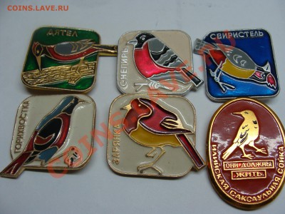 Значки - Птицы, 6шт, до 22.03.2011 22-00 - DSC05541.JPG