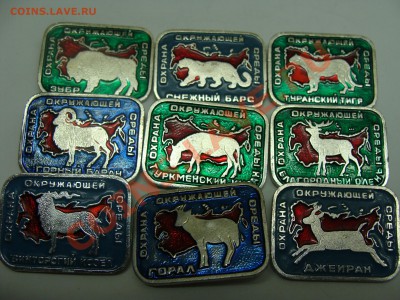 Значки - Охрана Окружающей Среды, 9шт, до 22.03.2011 22-00 - DSC05545.JPG