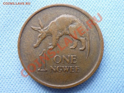 ЗАМБИЯ 1-ngwee 1972г. до 22.03.11 в 22-00 - MEMO0074.JPG