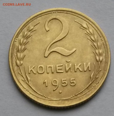 2 копейки 1955 года    до 20.11.17.      21.00 - 2