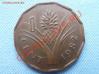 СВАЗИЛЕНД 1 цент 1982г. АНАНАС до 22.03.11 в 22-00 - MEMO0081.JPG