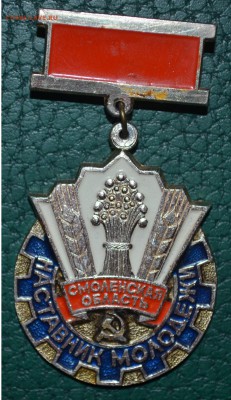 Наставник молодежи Смоленская область.Подвесной - DSC_0441.JPG