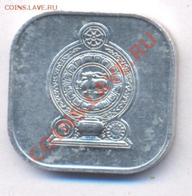 Цейлон 5 центов.1991 г. До 19.03.11 г. 20-00 МСК. - Цейлон 5.1