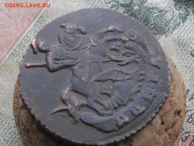 денга 1795 ЕМ до 17 11 17 22-00мск - IMGP5968.JPG