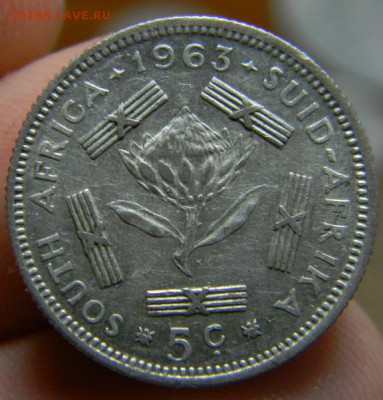 5 центов ЮАР 1963 - DSCN1705.JPG