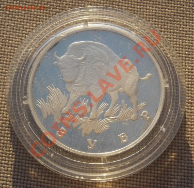 1 рубль 1997 г КРАСНАЯ КНИГА, Зубр, ПРУФ до 22.03.11 22:30 - DSCN4942.JPG