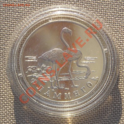 1 рубль 1997 КРАСНАЯ КНИГА, Фламинго, ПРУФ до 22.03.11 22:30 - DSCN4947.JPG