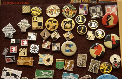 Шахматные значки! - 20171116_105623