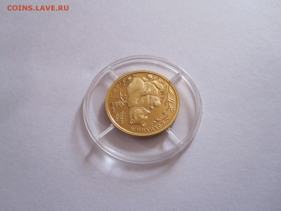 50 рублей Бурый медведь 1993 золото 20.11 22:05 - IMG_6582.JPG