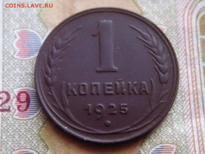 1 коп. 1925 г. оценка - P1400248.JPG