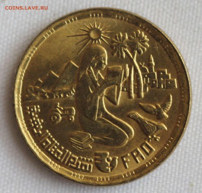 С 1 руб.ФАО ЕГИПЕТ 10 миллим 1980г. ДЕВУШКА  до 23.11 - IMG_9615