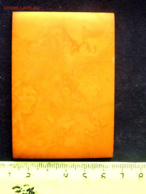 2 Янтаря оценка - PB172758.JPG