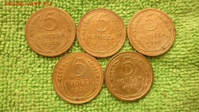 5 коп.1929.30.31.55.---.окончание 22.11.2017 - IMG_20171118_114822