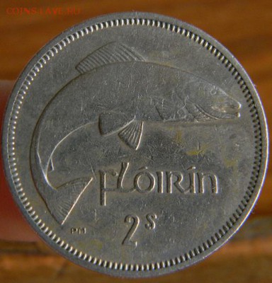 флорин ирландия 1959 - DSCN1892.JPG