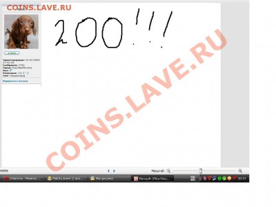 BaNG репа 200 - Безымянный.JPG