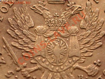 25 злотых 1817 - 8b6eda81c79d3550cafc2bde8c51458b