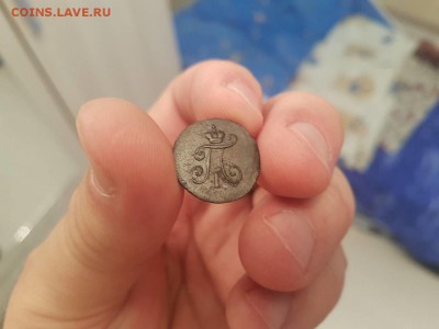 Медь Павла на оценку - IMG_20171120_162013_0