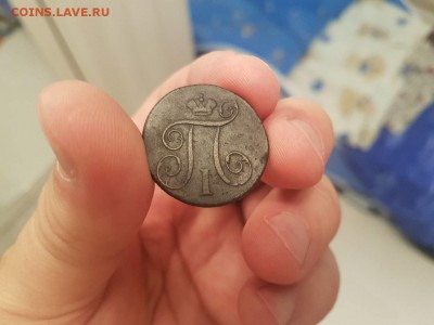 Медь Павла на оценку - IMG_20171120_162006_0