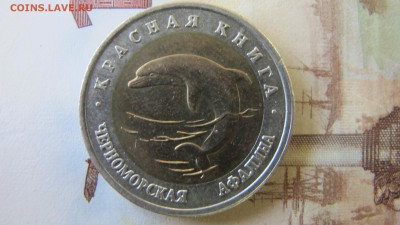 Красная Книга: 50 рублей 1993, Афалина - IMG_7590.JPG