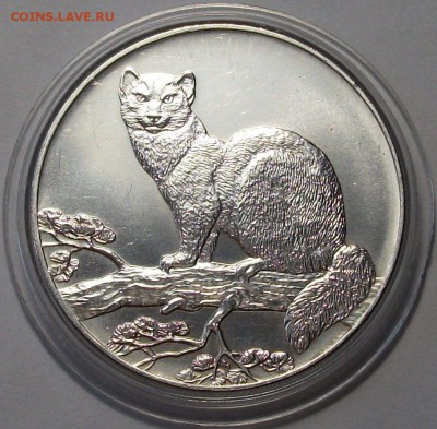 3 рубля 1995 г. _СОБОЛЬ_ ЛМД - с 200р. до 25 нояб. в 22:00 - DSCF5323.JPG