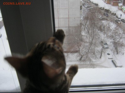 Стихи на заданную тему - IMG_4198[1].JPG