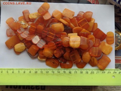 2 Янтаря оценка - PB212829.JPG