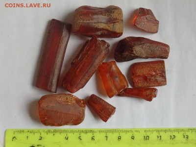 2 Янтаря оценка - PB212827.JPG