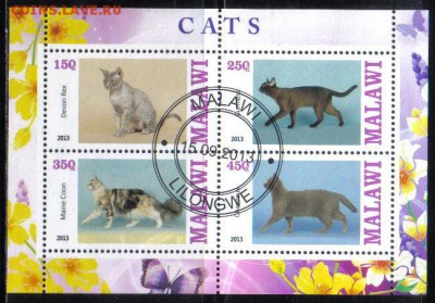 Малави 2013г мл Кошки №2 до 22.11 22.00мск - Малави 2013г мл Кошки №2