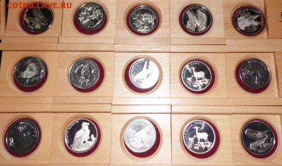Жетон Медаль 30 лет WWF фонд дикой природы - s-l1600