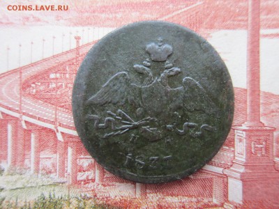 5коп.1831(ЕМФХ) и 1коп.1837(ЕМНА) До 27.11.2017г.22:00(мск) - 5-2-2.JPG