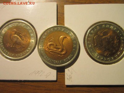 Куплю Красную Книгу и Карабин ( список внутри) - IMG_7297.JPG