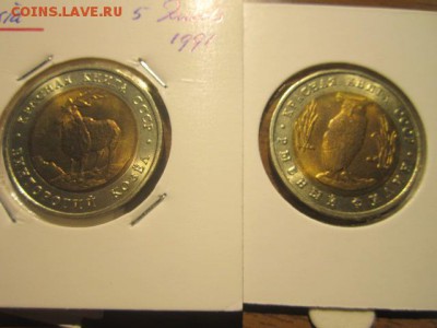 Куплю Красную Книгу и Карабин ( список внутри) - IMG_7299.JPG