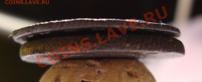 Копейка сибирь легковес+тяжеловес - DSC08294.JPG