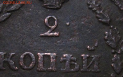 2коп 1810г--пчелка - IMG_1494.JPG