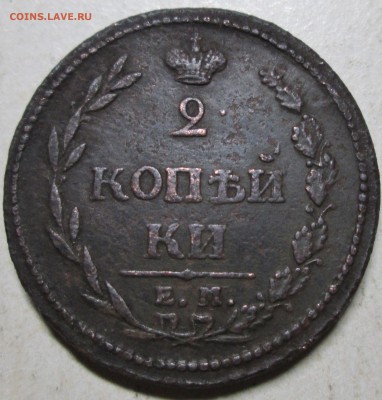 2коп 1810г--пчелка - IMG_1491.JPG