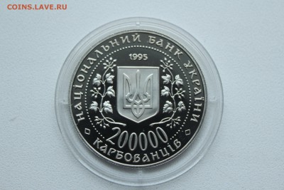  23:00 - IMG_8091.JPG