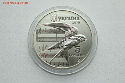  23:0 - IMG_8100.JPG