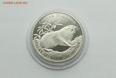  23:00 - IMG_8109.JPG