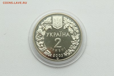  23:00 - IMG_8111.JPG