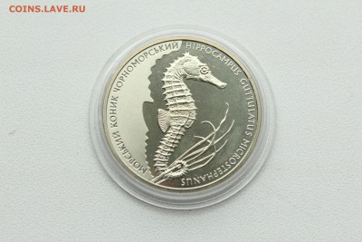  23:00 - IMG_8112.JPG