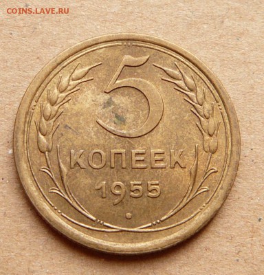 5 копеек 1955 с 300  до 28.11 (вт) до 22-10 - 5 (1).JPG