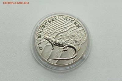  23:00 - IMG_8120.JPG