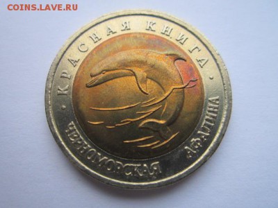 КК 93 Афалина 50 руб. до 30.11.2017 в 22:30 - IMG_7408.JPG