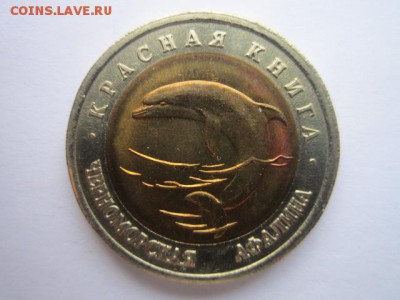 КК 93 Афалина 50 руб. до 30.11.2017 в 22:30 - IMG_7406.JPG